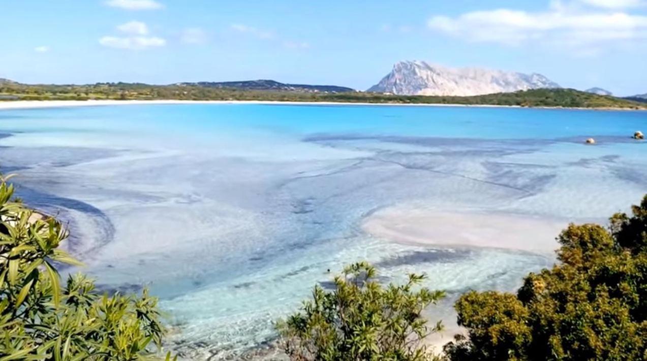 بونتالديا B&B Tavolara المظهر الخارجي الصورة